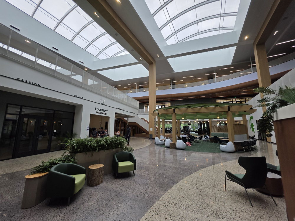 6nv77nfxv0j5.png